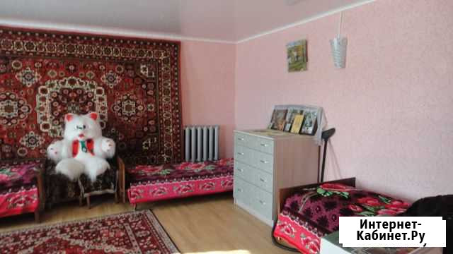 Дом 52 кв.м. на участке 43 сот. Анна - изображение 1