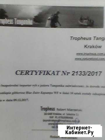 Продам фронтозу капампа Тула - изображение 1
