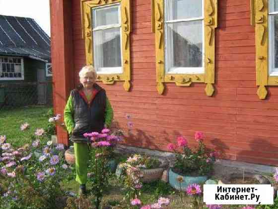 Дом 37 кв.м. на участке 38 сот. Богородское