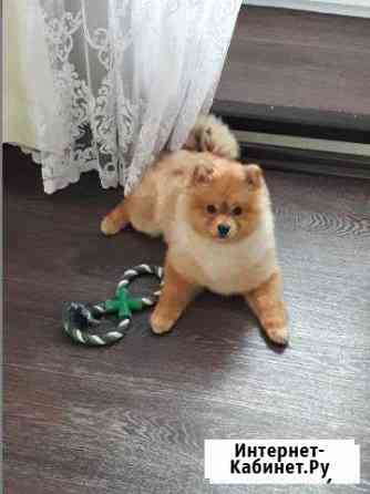 Вязка Нижнекамск