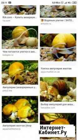 Аквариумные растения и улиьки Подольск