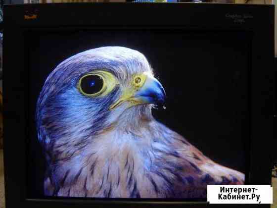 CRT 19 ViewSonic G90f+ Graphics Series Екатеринбург