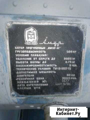 Катер Амур Архангельск - изображение 1