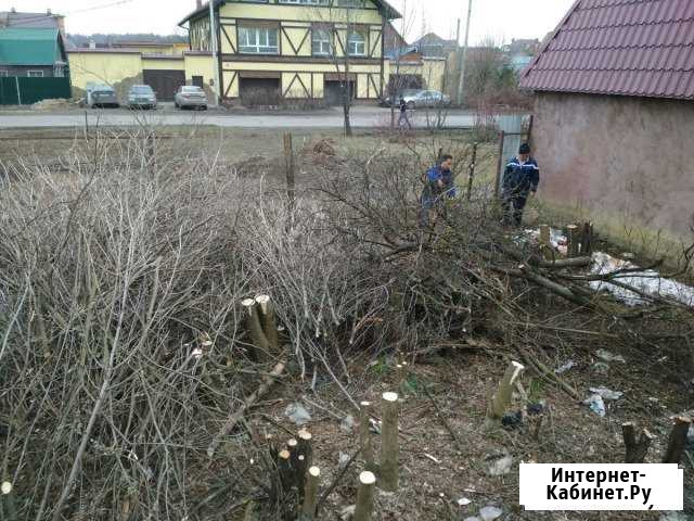 Уборка территории, участка Можайск - изображение 1
