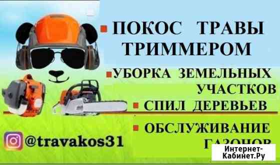 Покос Травы. Спил Деревьев. Уборка участков Белгород