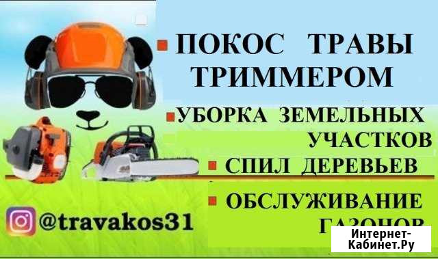 Покос Травы. Спил Деревьев. Уборка участков Белгород - изображение 1