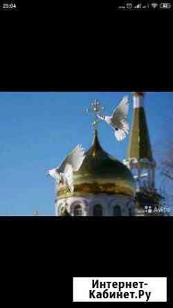 Голуби на выпуск Гусь-Хрустальный