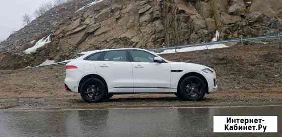 Прокат классного Jaguar F-Pace в Барнауле Барнаул