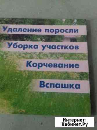 Корчевание Кинель