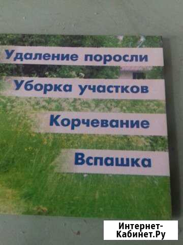 Корчевание Кинель - изображение 1