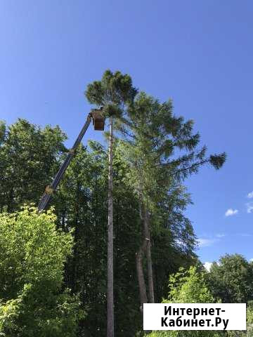 Спил деревьев любой сложности Новосибирск - изображение 1