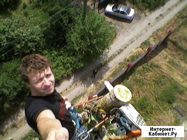 Спил деревьев, уборка участков,покос травы,выврз Ростов-на-Дону - изображение 1
