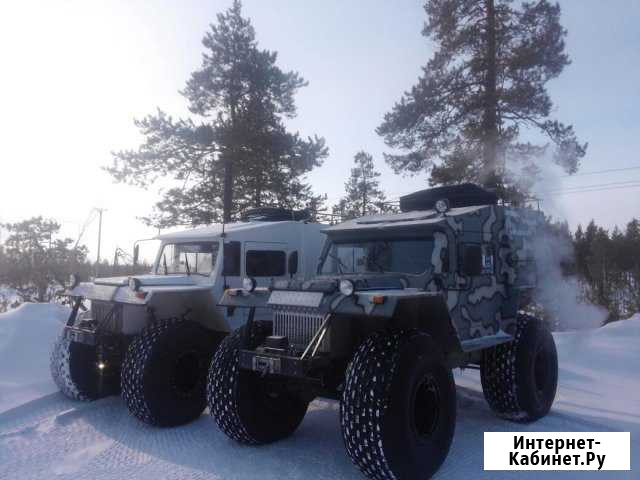 Услуги и аренда вездехода Олимп и Трэкол Новый Уренгой - изображение 1