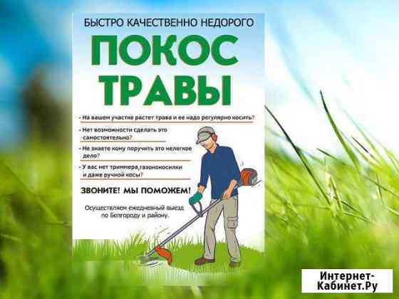 Покос травы триммером Белгород