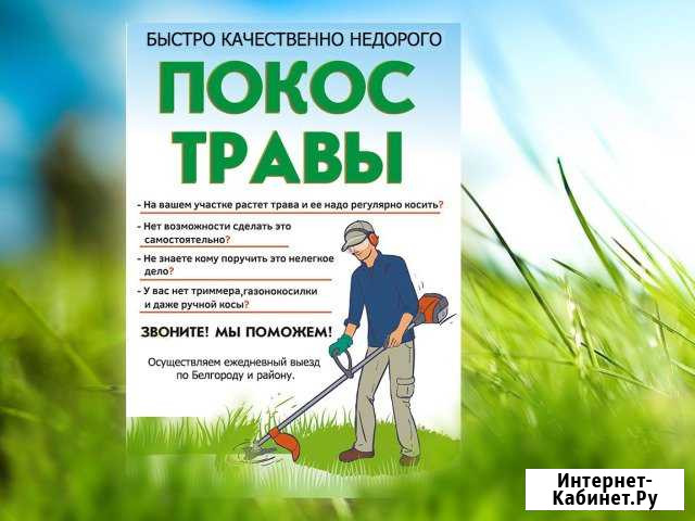 Покос травы триммером Белгород - изображение 1