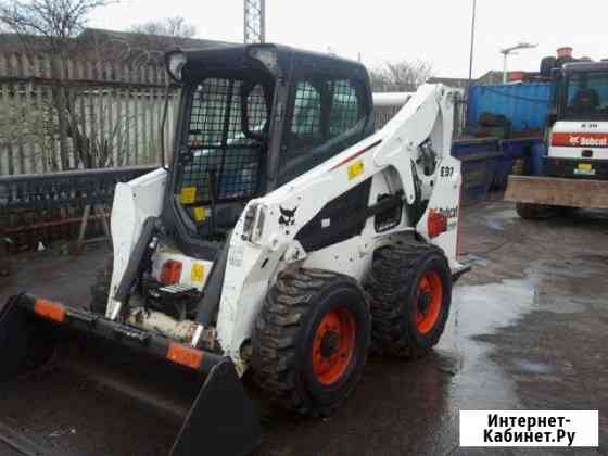 Аренда минипогрузчика Bobcat ковш,вилы, щетка Москва