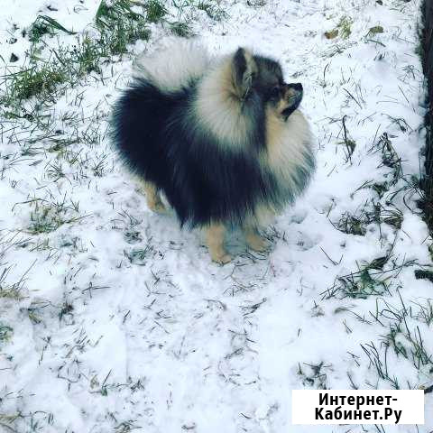 Вязка Нижний Тагил - изображение 1