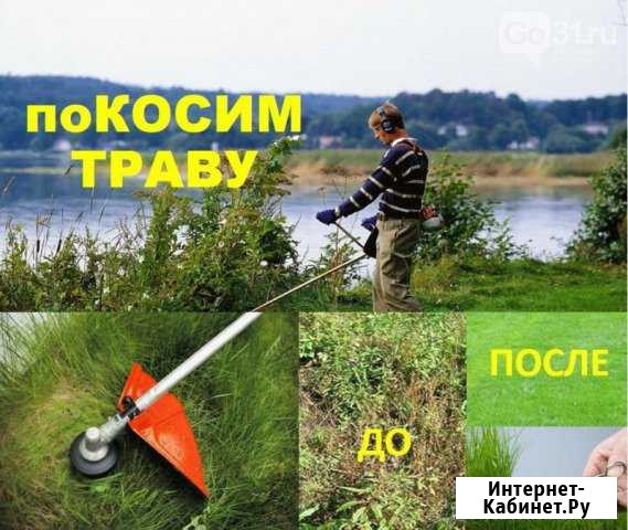 Покос травы и мелкого кустарника Боровичи - изображение 1