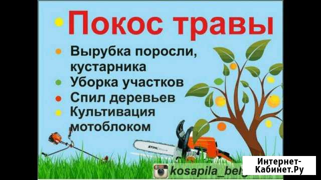 Покос травы,уборка дачи.прополка,спил деревьев Курск - изображение 1