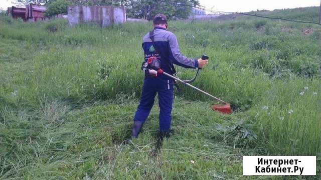 Покос травы Кумертау - изображение 1