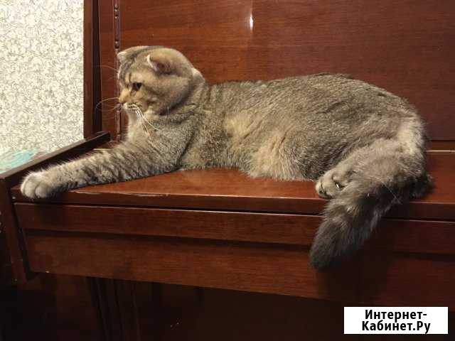 Вязка Рязань - изображение 1