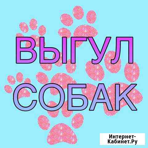 Выгул собак Ставрополь