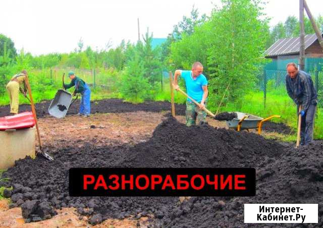 Разнорабочие Новосибирск - изображение 1