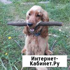 Вязка Протвино - изображение 1