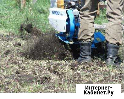 Сад и огород Шаховская - изображение 1