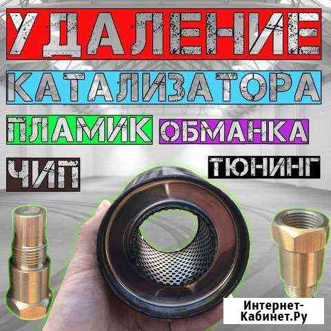 Удалить катализатор, сажевый фильтр, чип-тюнинг Омск