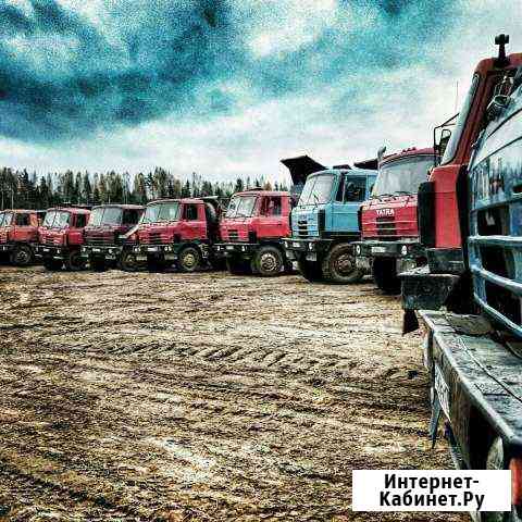 Tatra-815.Татра-815,аренда- самосвал (вездеход) Санкт-Петербург