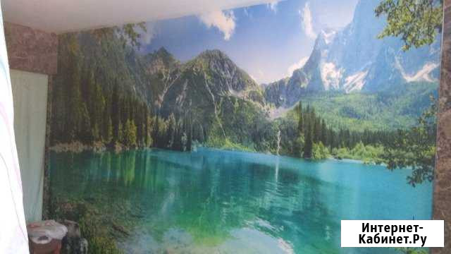 Ремонт и отделка квартир, инструмент имеется Клин - изображение 1