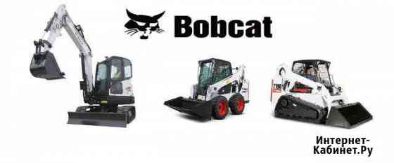 Услуги мини погрузчика и мини экскаватора Bobcat Калининград