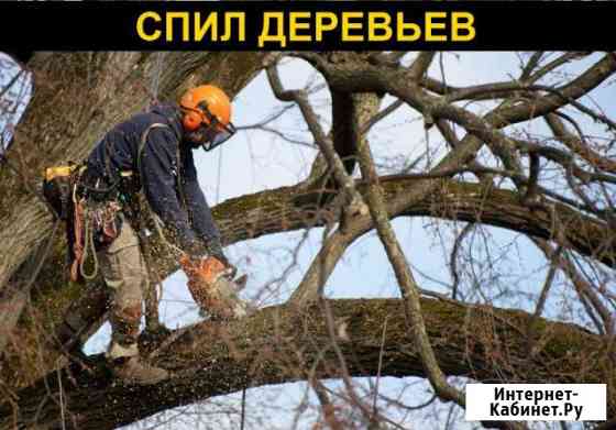 Расчистка земельных участков Благовещенск