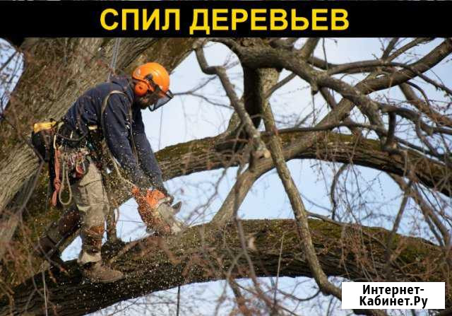 Расчистка земельных участков Благовещенск - изображение 1