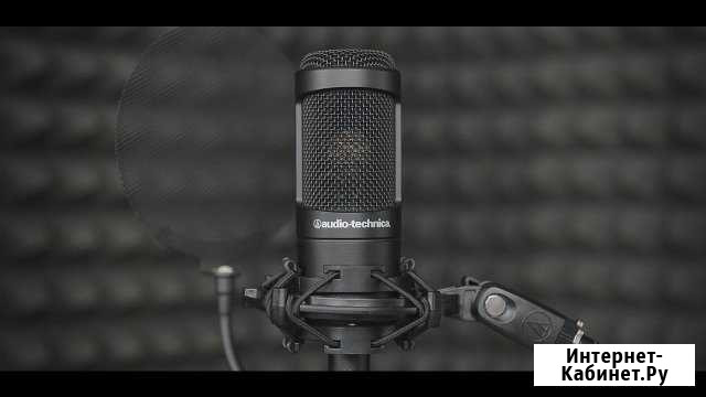 Студийный микрофон Audio-Technica AT2035 Екатеринбург - изображение 1