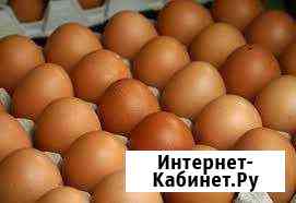 Домашние яйца Дятьково