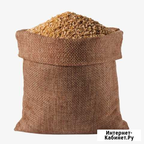 Просо овес семечки Липецк - изображение 1