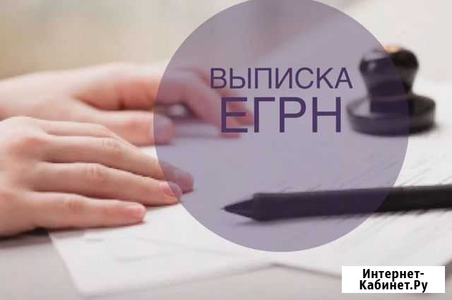 Выписка егрн Владимир - изображение 1