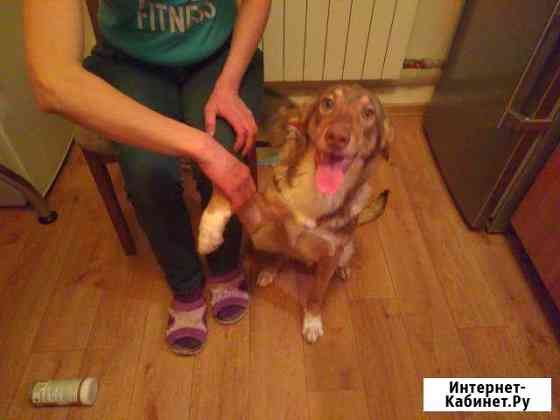 Красавица Линда 15.01.2017г Волгоград