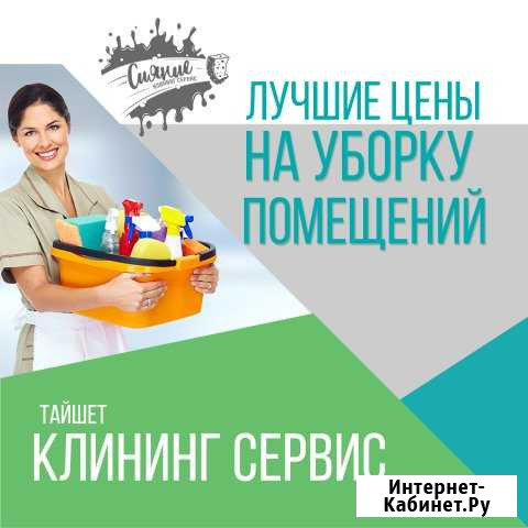 Клининг сервис Сияние Тайшет - изображение 1