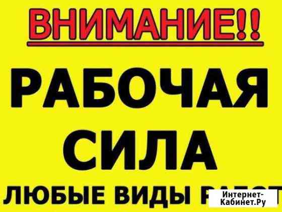 Утилизация.Вывоз мусора Хабаровск