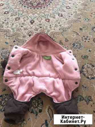 Одежда для собак Новороссийск