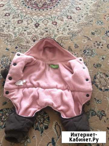 Одежда для собак Новороссийск - изображение 1