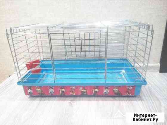 Клетка для морской свинки Тверь