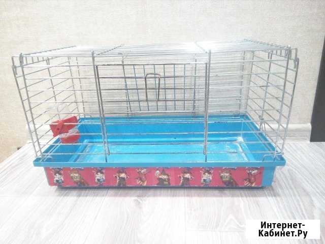 Клетка для морской свинки Тверь - изображение 1