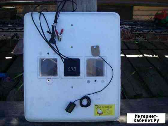 Инкубатор автоматический на 81 яйцо Калуга