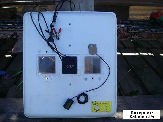 Инкубатор автоматический на 81 яйцо Калуга - изображение 1