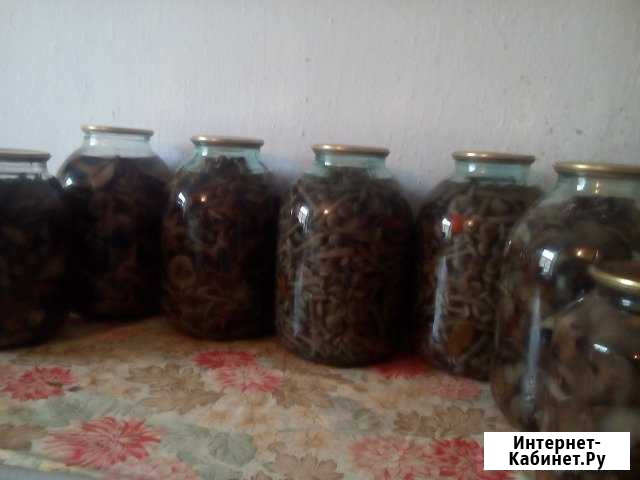Грибы Горячий Ключ - изображение 1
