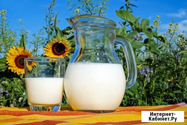 Продам козье молоко, творог Белорецк - изображение 1